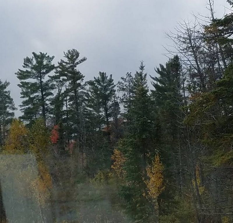 Elk Ridge Golf Course - From Website (newer photo)